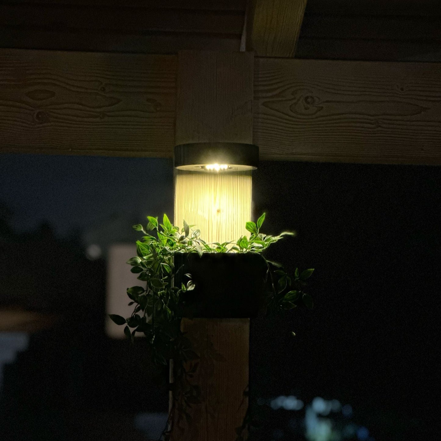 תאורת קיר סולארית עם עציץ קיר תואם - SolLume