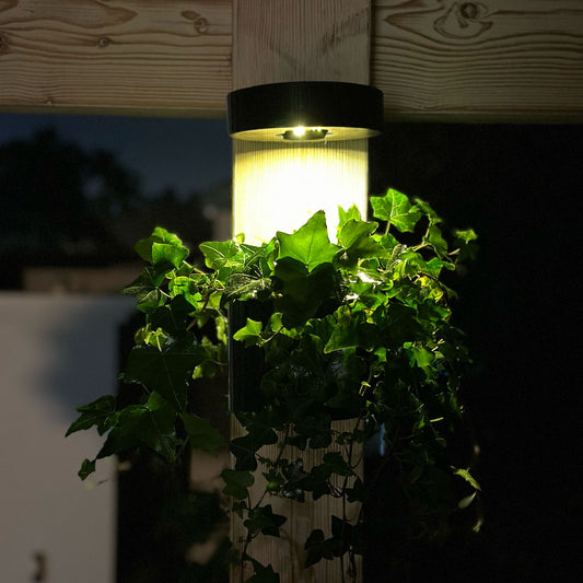 תאורת קיר סולארית עם עציץ קיר תואם - SolLume