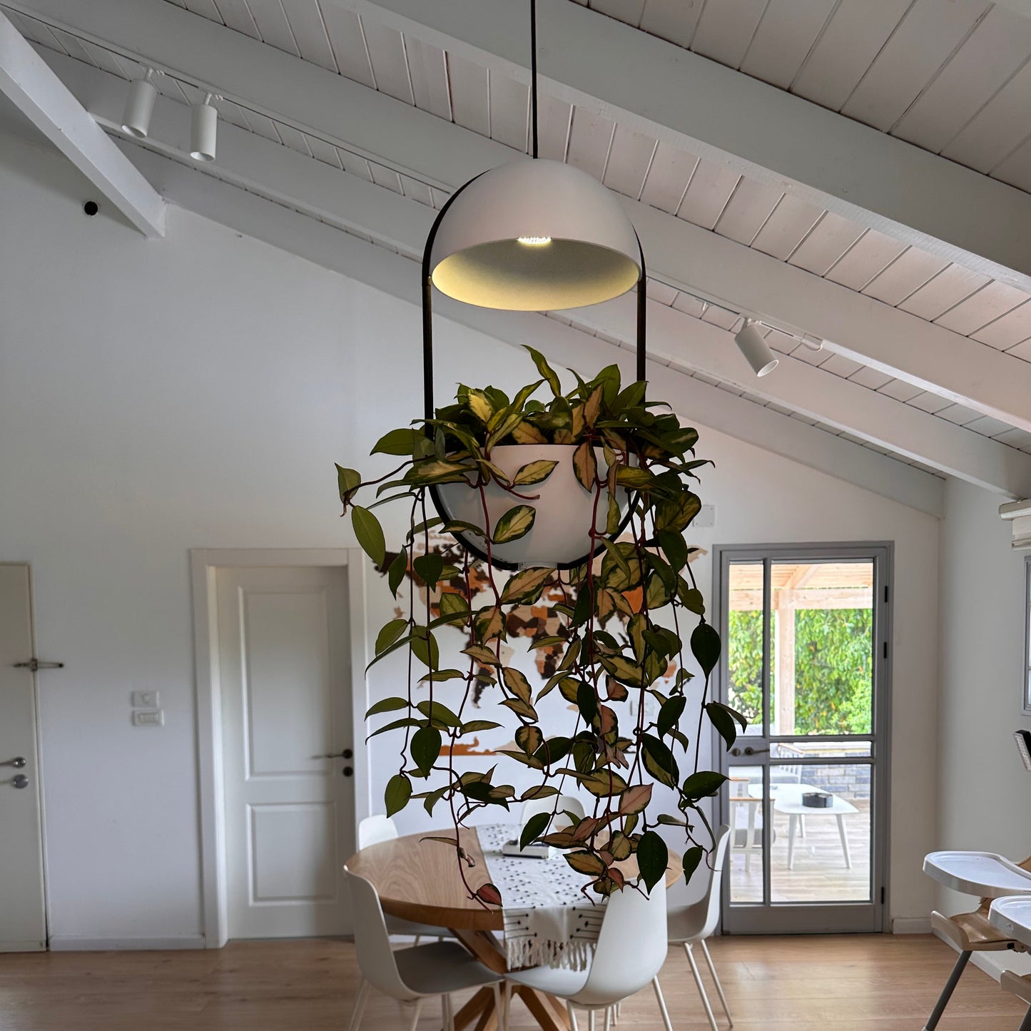 גוף תאורה תלוי LumiDome בגוון לבן עם עציץ עגול וצמח מטפס בעל עלים ירוקים‑צהובים, תלוי מעל שולחן אוכל עגול בחלל פתוח עם תקרה משופעת.
