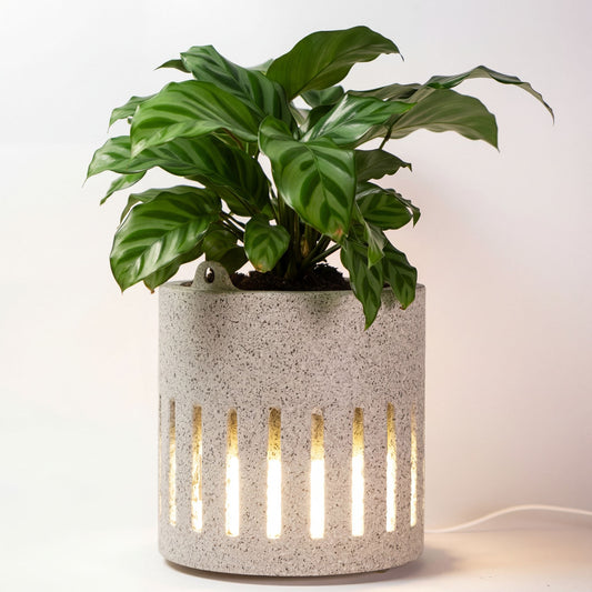 FloraDesk - גוף תאורה שולחני עם עציץ מובנה