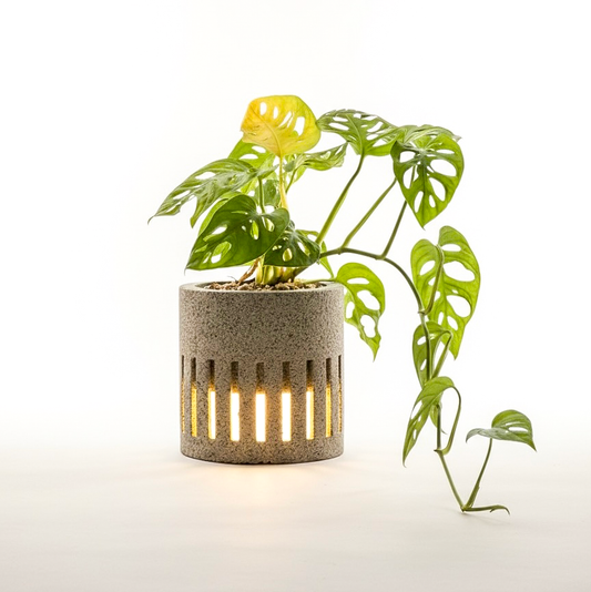 FloraDesk - גוף תאורה שולחני עם עציץ מובנה