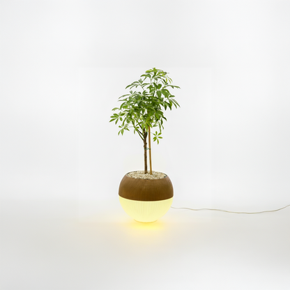 Lumimoon - גוף תאורה כדורי עם עציץ