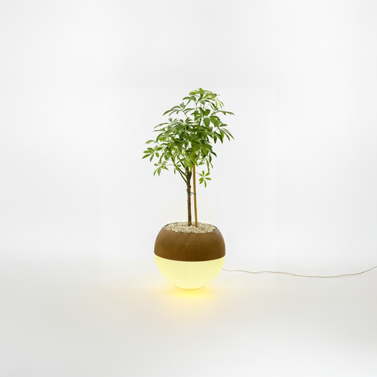 Lumimoon - גוף תאורה כדורי עם עציץ