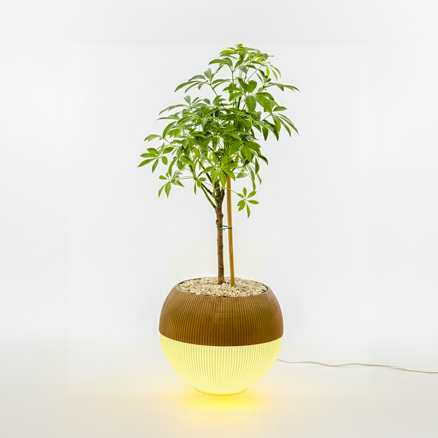 Lumimoon - גוף תאורה כדורי עם עציץ