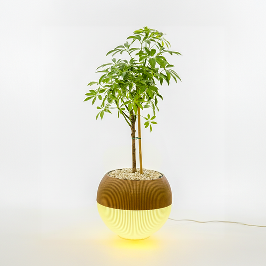 Lumimoon - גוף תאורה כדורי עם עציץ